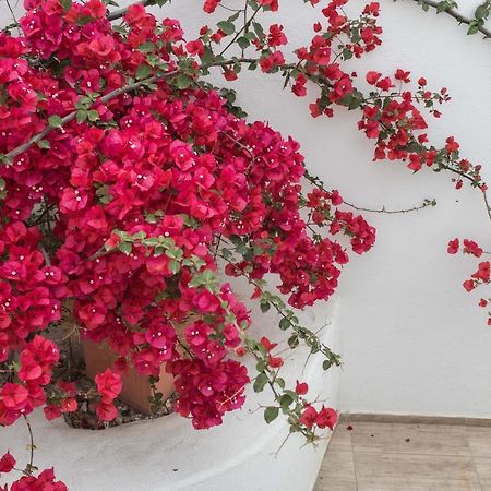 Depis Apartments & Suites Agia Anna  Zewnętrze zdjęcie