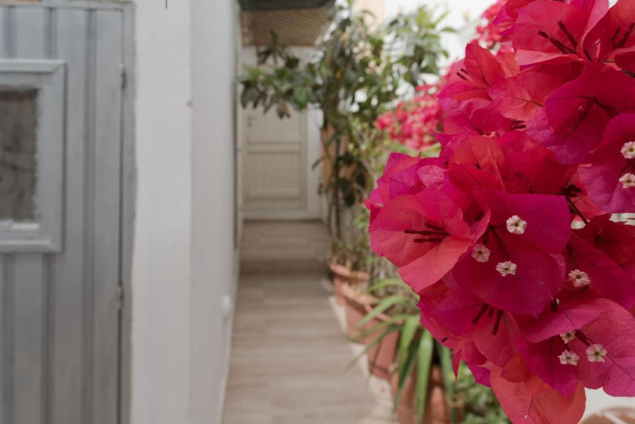 Depis Apartments & Suites Agia Anna  Zewnętrze zdjęcie
