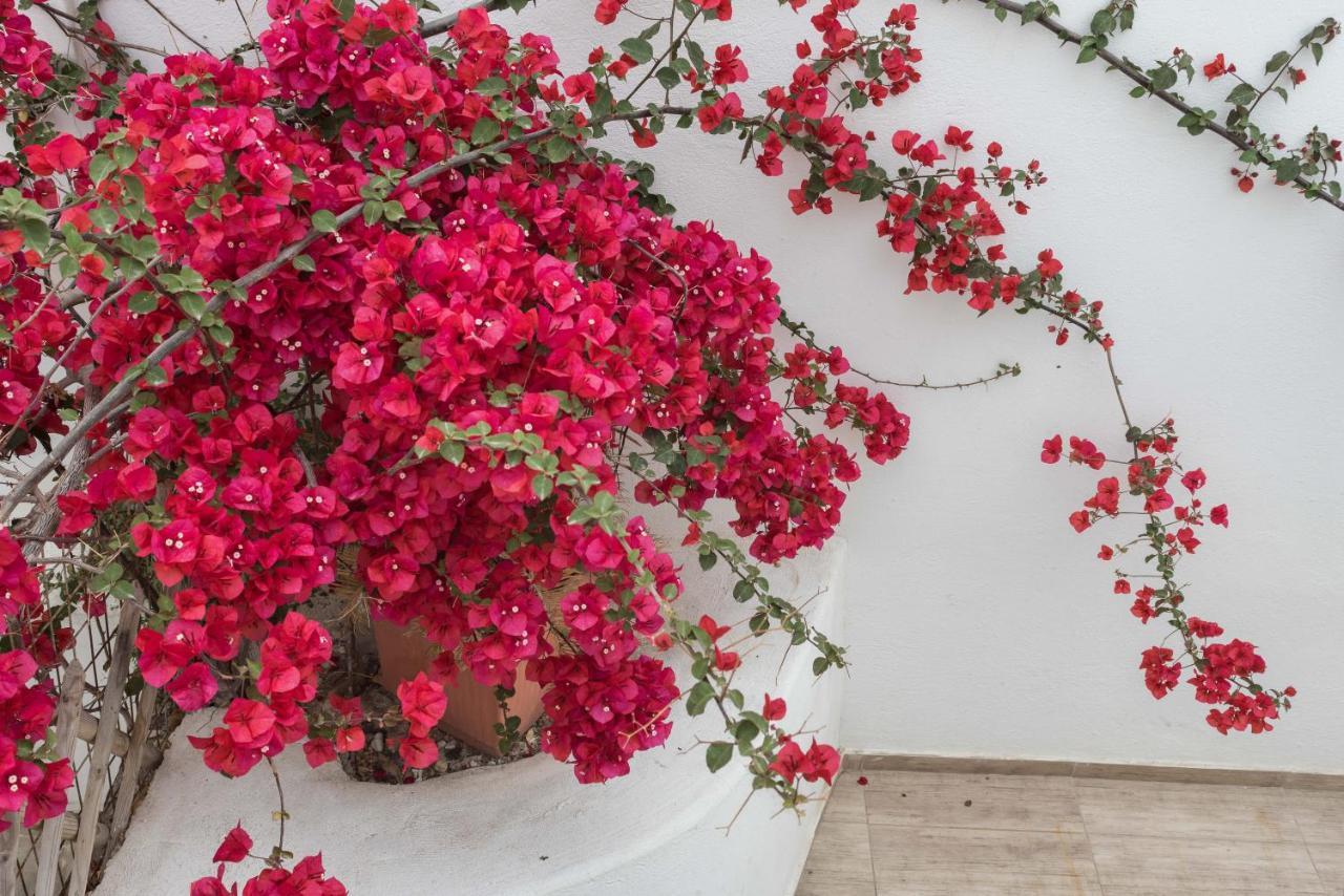 Depis Apartments & Suites Agia Anna  Zewnętrze zdjęcie